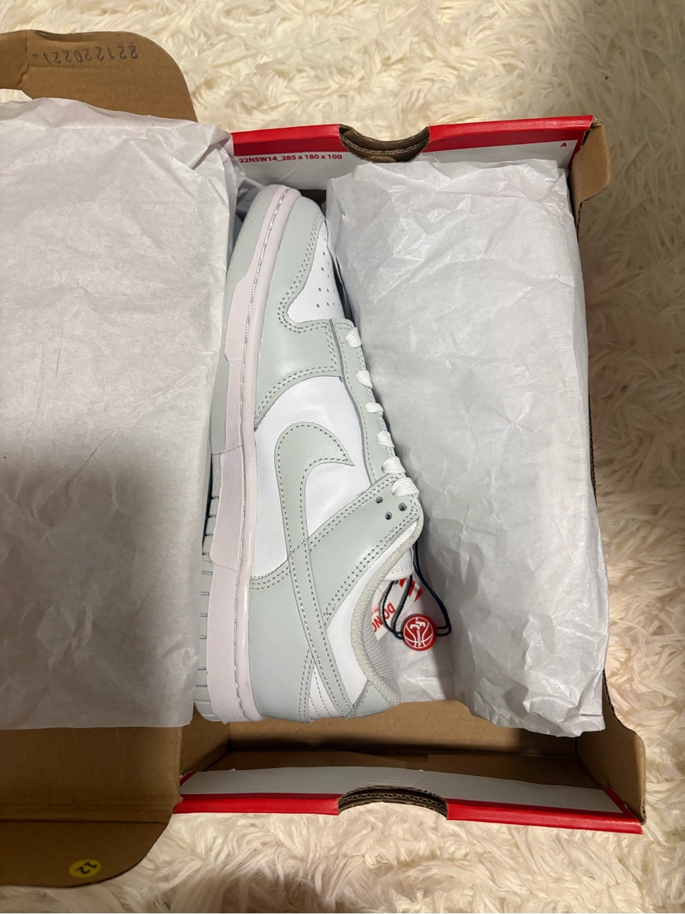 Nike Women's Dunks Low